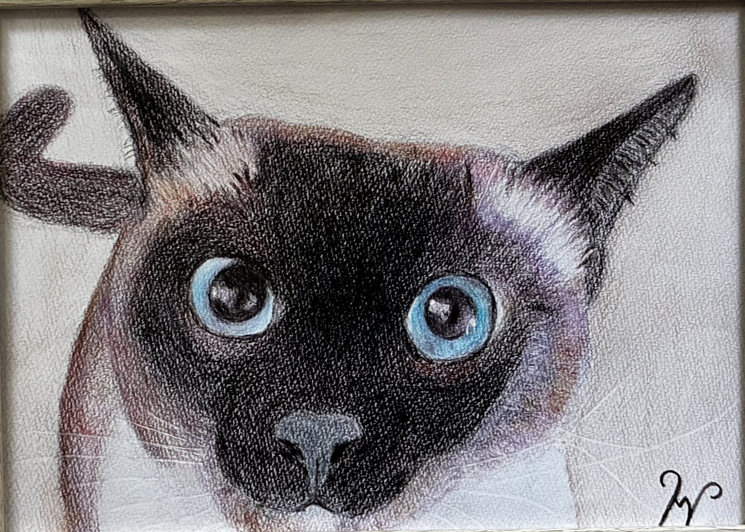 猫の絵「シャム猫のジャム」