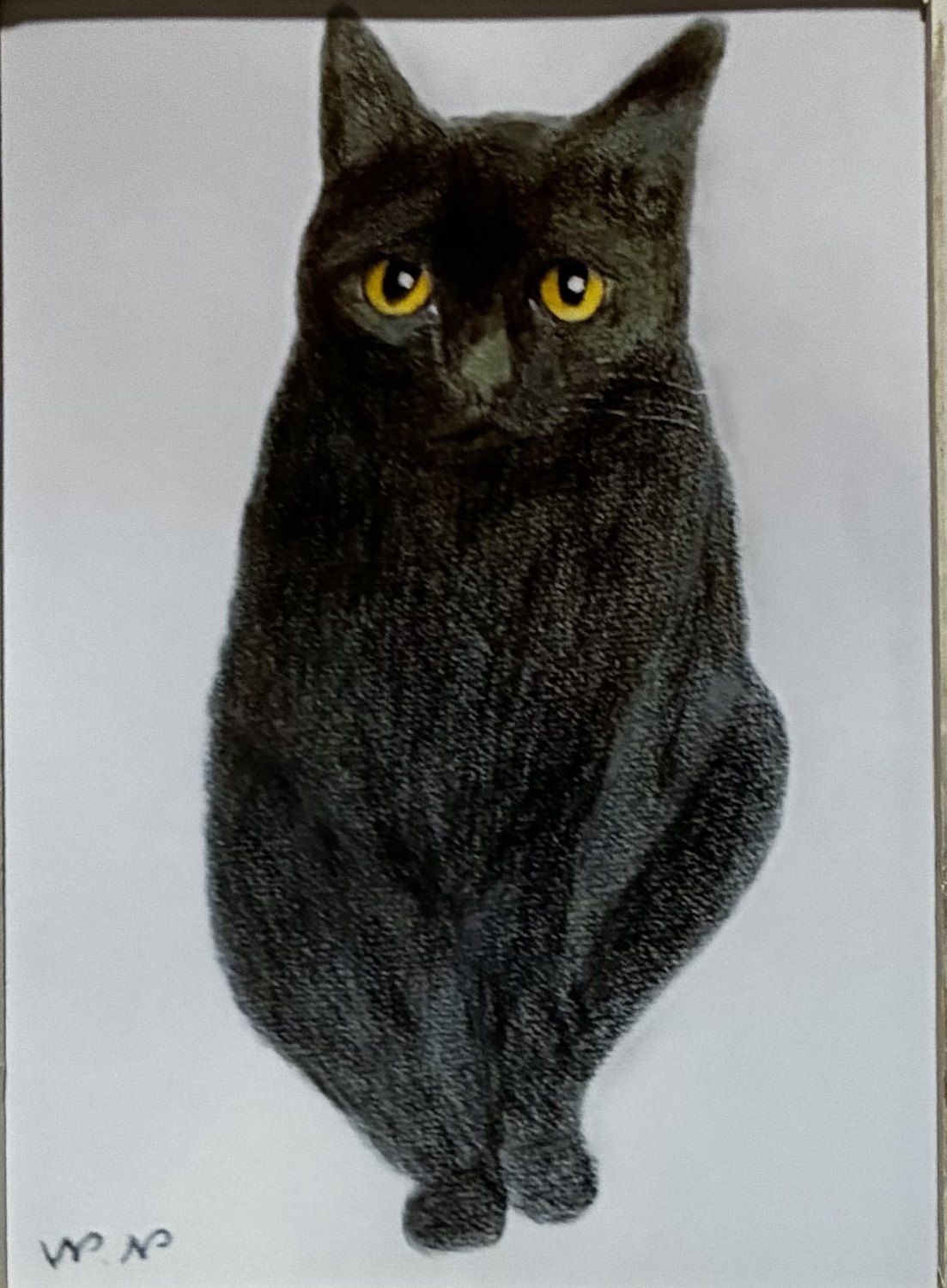 猫の絵「失礼します」