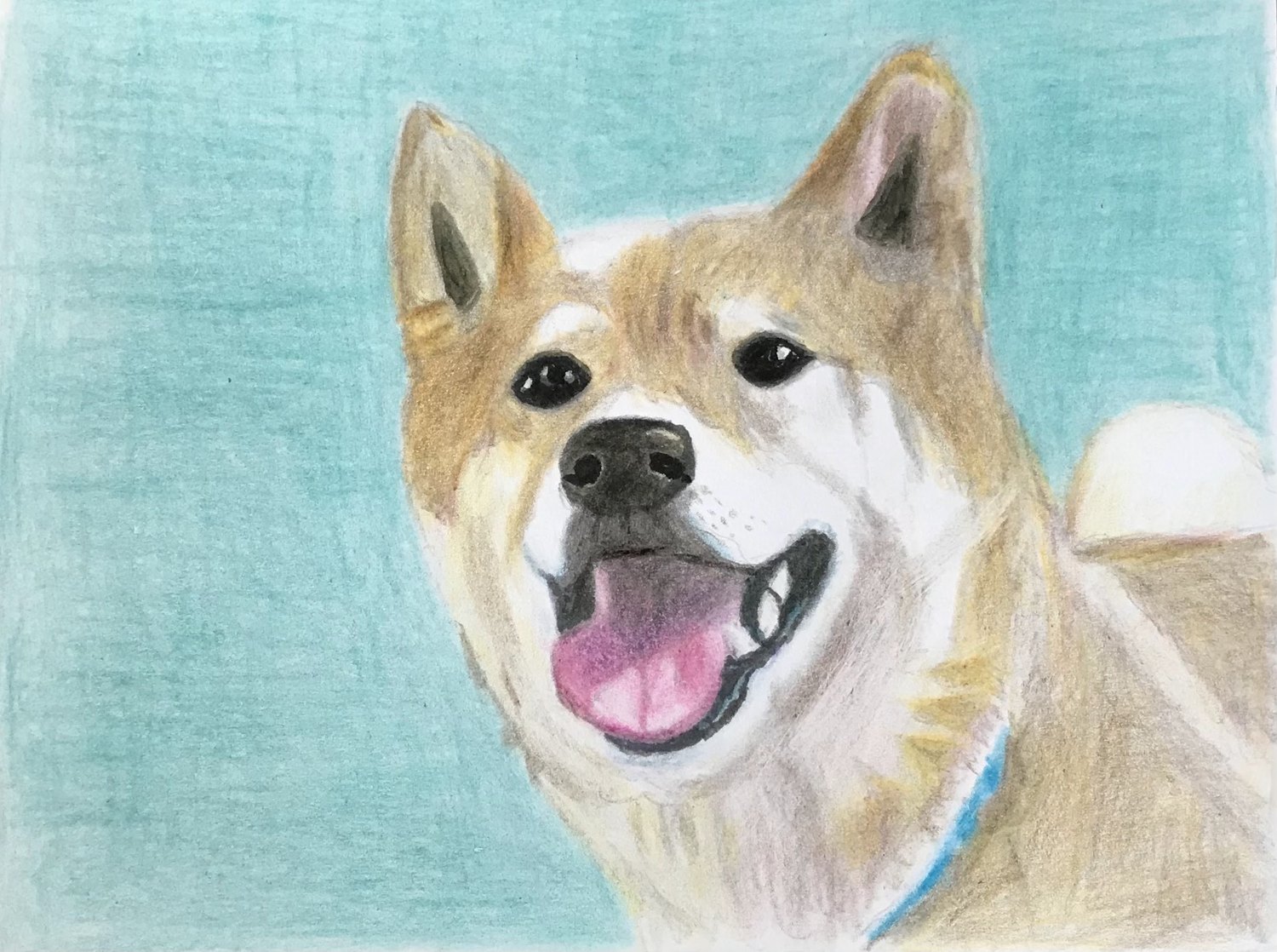 犬の絵「茶太郎君」